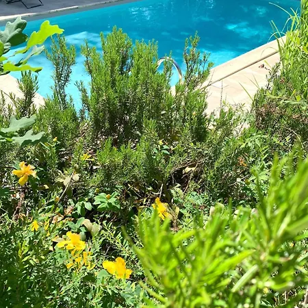 Petit Dans Les Bois Avec Piscine Privative 公寓 Saint-Jean-d'Estissac